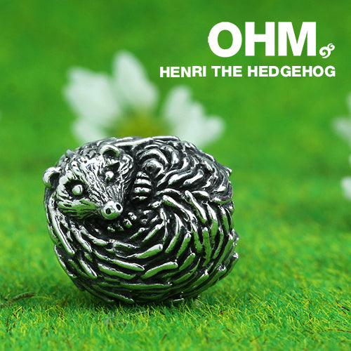 Henri The Hedgehog (Retired)