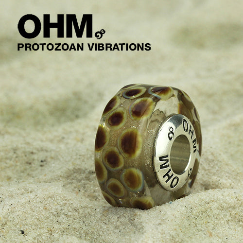 Protozoan Vibrations - Limited Edition